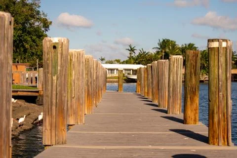 Looking Down a Pier on a River in Florida Stock Photos