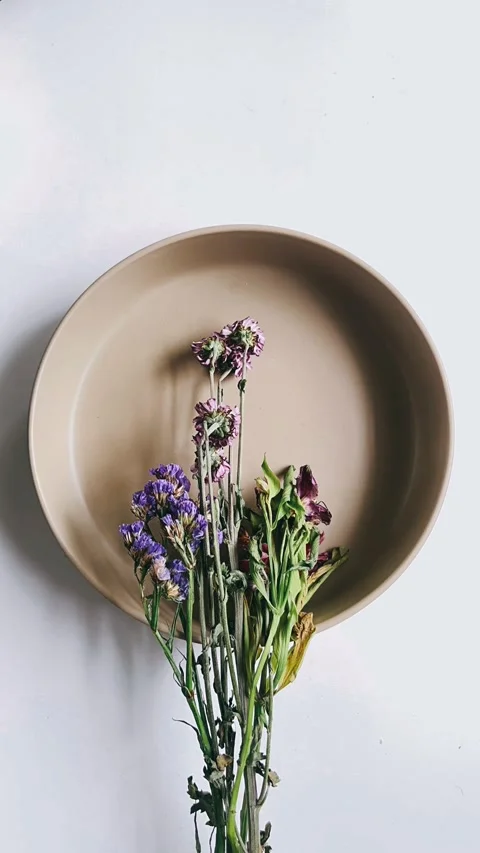 Looking down, plate, flowers, white background, arrangement, Stock Footage 270323676