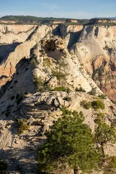 Looking Down The Point At Deer Trap In Zion Foto stock