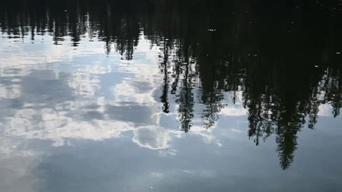 Looking down at a reflection of northern evergreen trees and clouds distorted by Stock Footage 313531695