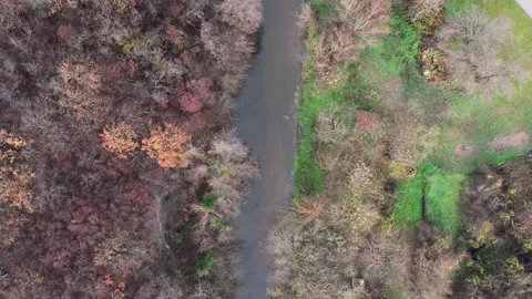 Looking Down On River Forest 動画素材 225719651