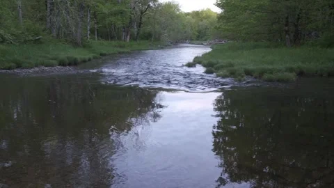 Looking down river, forested floodplain at dawn Stock Footage 336450367