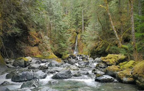 Looking down a river over large boulders and rocks in a forest Stock Photos