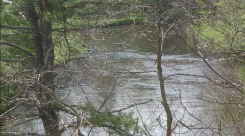 Looking down on river, water flowing away from viewer, trees in foreground Video stock 713929