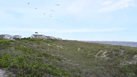 Looking down the sand dunes as Pelican fly overhead. Stock Footage 134898863