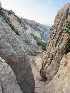 Looking Down a Sandy Informal Trail Between Seaside Coastal Outcrops in Stock Photos