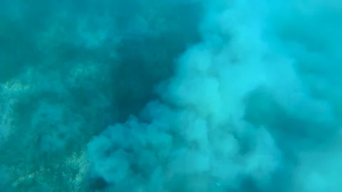 Looking down on sea grass growing under the water Stock Footage 138748258