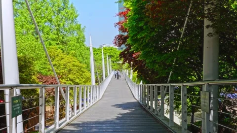 Looking down seoul forest suspension bridge in public city park on sunny spring Stock Footage 342596501