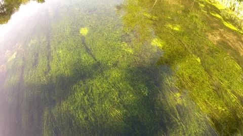 Looking Down Into a Shallow River with Clear Water Stock Footage 12143695