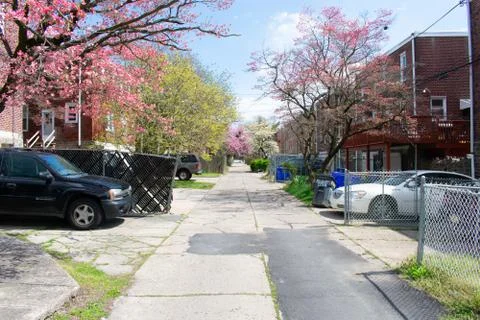 Looking Down a Shared Driveway During the Spring in Suburban Pennsylvania Stock Photos