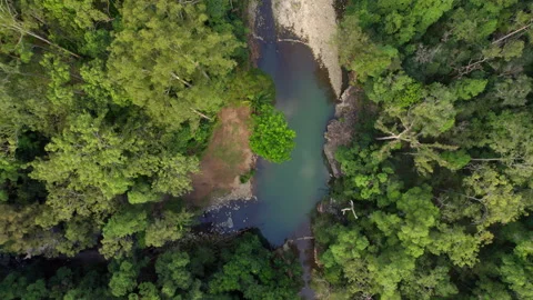 Looking down shot of Stony Creek Bellthorpe QLD Stock Footage 193366550