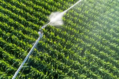 Looking down on a sprayer Foto stock