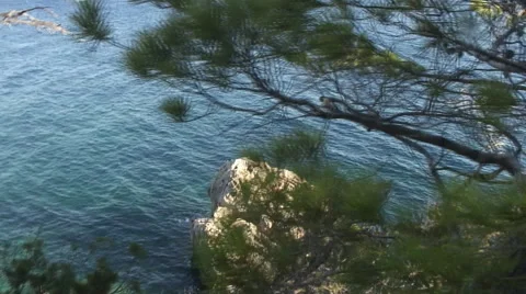 Looking down a steep cliff. Stock Footage 44560658