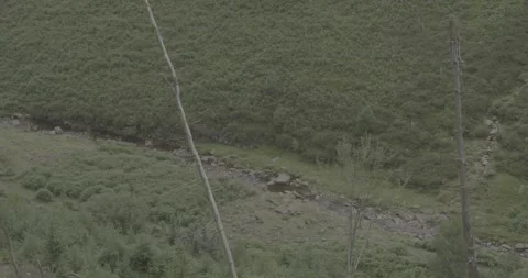 Looking down at the streem surrounded by the green forest, 4k, VLOG, 24fps Stock Footage 277230044