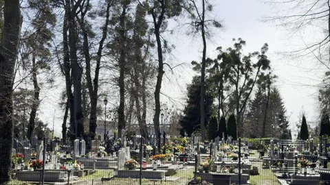 Looking down from tall trees to cemetery Vídeos de archivo 333656028