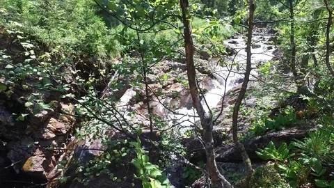 Looking down from the top of the hill on the waterfall trough the green trees in Video stock 128409294