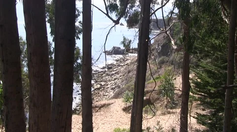 Looking down the trail Video stock 41759725