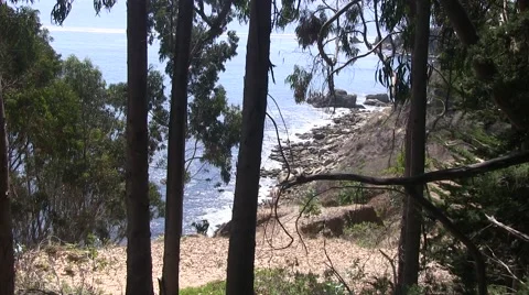 Looking down the trial Video stock 41759747