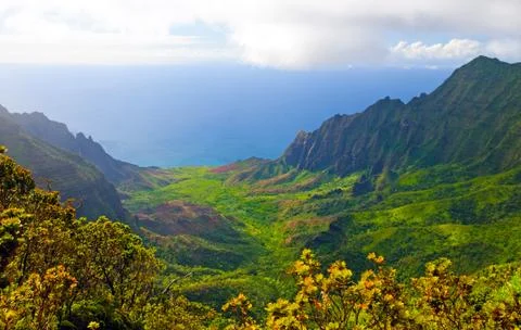 Looking down into a tropical valley Stockfoto's