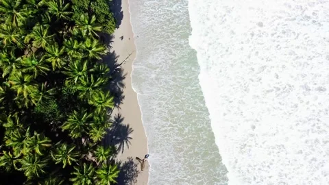 Looking down at waves crashing on Yarra Beach, Trinidad 스톡 동영상 249272861