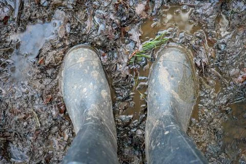 Looking down at welly boots standing in a muddy puddle 库存照片