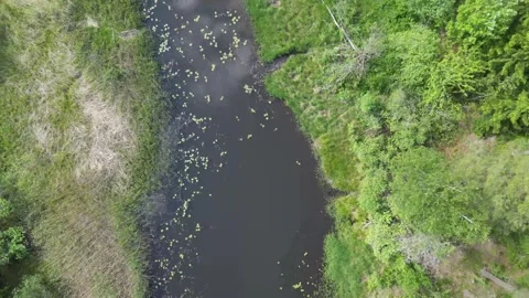 Looking down while flying along a small river Video stock 310737874
