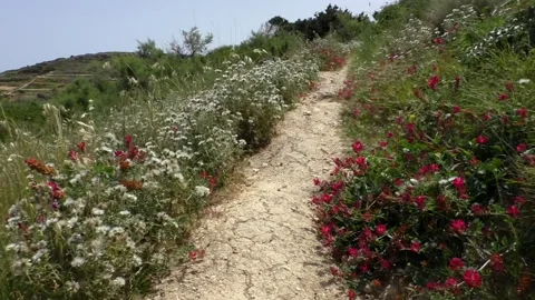 Looking down while walking dry dirt path Видео 148516254