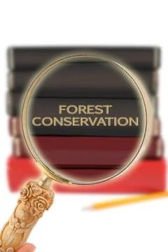 Looking in on education -  Forest Conservation Stock Photos