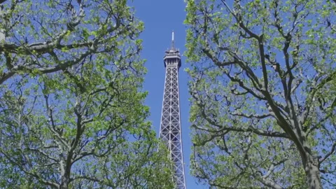 Looking up at The Eiffel Tower in Paris, through the trees in Spring. Stock Footage 135566018