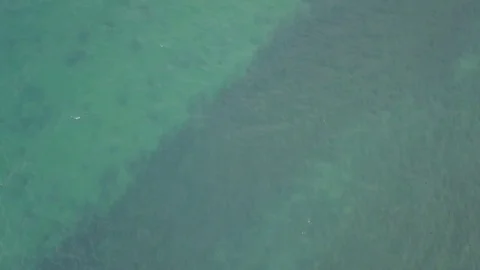 Looking Into Emerald Waters Of Lake Tahoe  Stock Footage 81014053