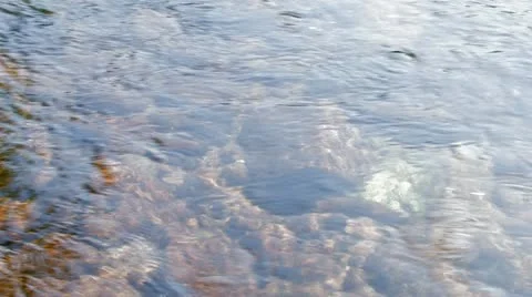 Looking first onto, then through water surface by polarizing filter Stock Footage 11528234