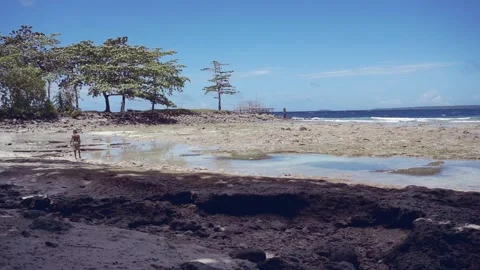 Looking for fish on the beach Stock Footage 242164082