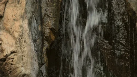 Looking up a flowing waterfall to a lush tree at the top. Stock Footage 88342676