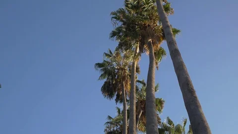 Looking Up Stock Footage 123947415