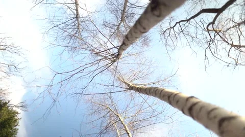 Looking up Stock-Footage 152863260