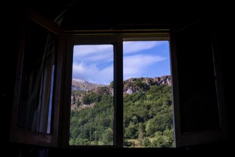 Looking the forest through the window Stock Photos
