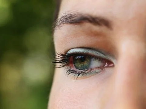 Looking forward 스톡 사진