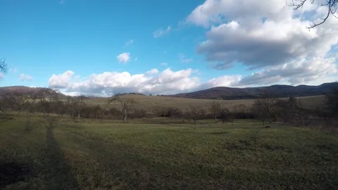 Looking at the garden Stock Footage 75491314