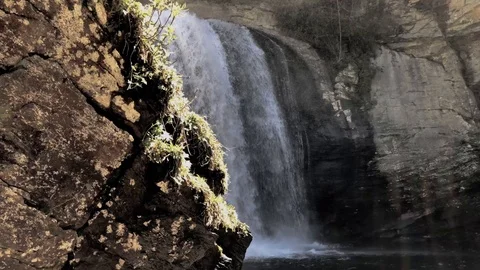 Looking Glass Falls Outside Brevard North Carolina. Stock Footage 89596080