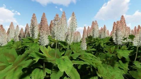 Looking Good Foam Flower Stock-Footage 340452124