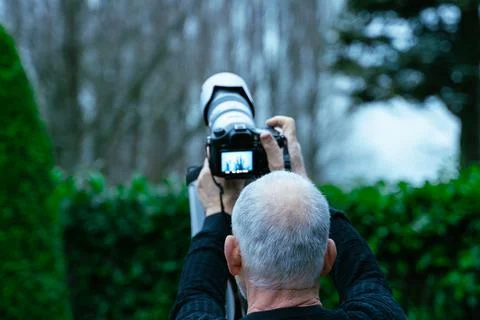 Looking for the good shot Stock Photos