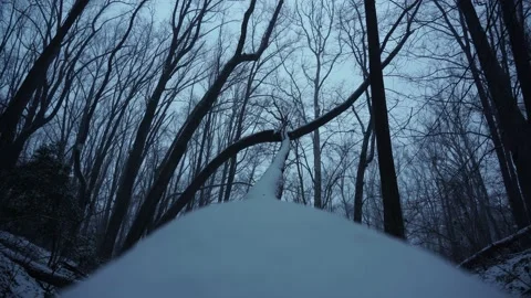 Looking Up At Gray Winter Snow Sky in the Woods 스톡 동영상 168815796