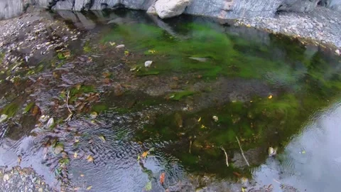 Looking at ground tiled down to greenish brown still water with dirt mud colorfu Stock Footage 265492904