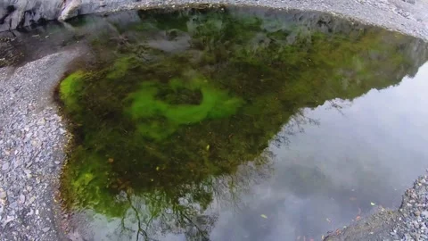 Looking at ground tiled down to greenish brown still water with dirt mud colorfu Stock Footage 265493006