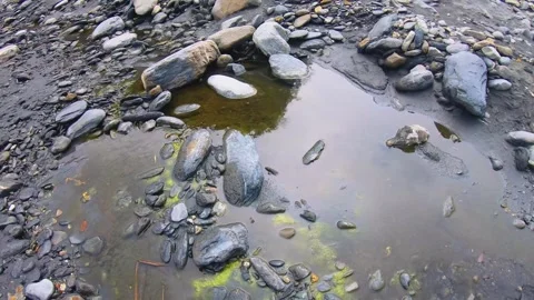 Looking at ground tiled down to greenish brown still water with dirt mud colorfu Stock-Footage 265493992
