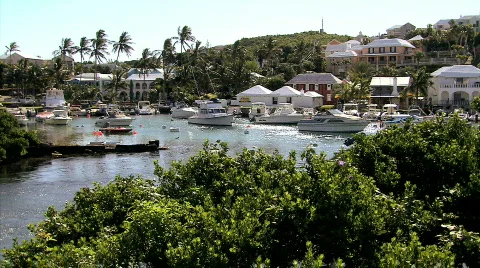 Looking At The Harbor  Stock Footage 679592