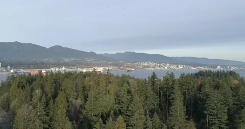 Looking at the harbor over the pine trees in Vancouver Stock-Footage 155460128