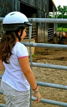Looking at the horses Fotos Stock