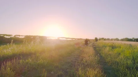 Looking for idea. Young businessman with computer in the middle of the nature Stock Footage 76686472