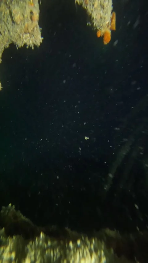 Looking inside a shipwreck Stock Footage 277227748